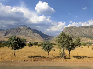 گەلیێ باڵندا - Galye balnda