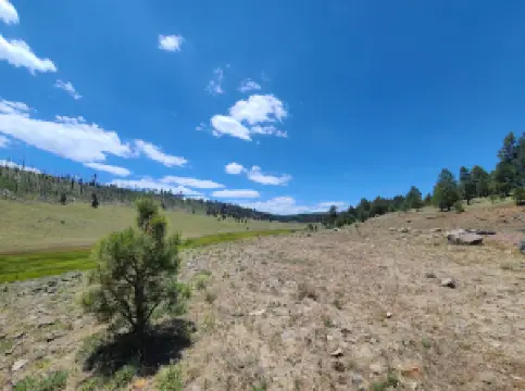 Alpine Ranger Station