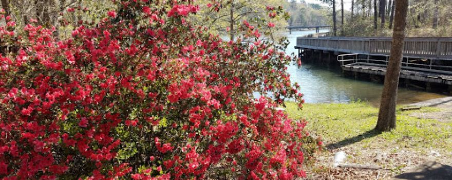 Lake Talisi Riverwalk Trail