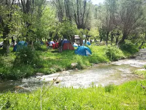 Çitköy Alakamp