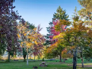 Pine Meadows Campground