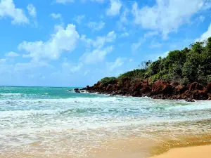 Little Bondi Beach (Baringura)