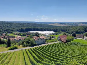Weinweg der Sinne St. Anna am Aigen