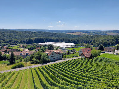 Weinweg der Sinne St. Anna am Aigen
