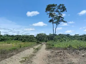 Senda "B" Nueva Canaán