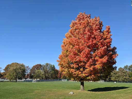 Memorial Park