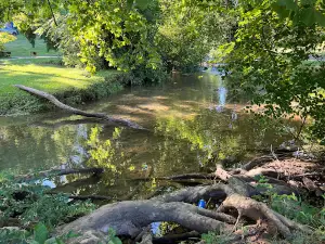 Spring Place Park