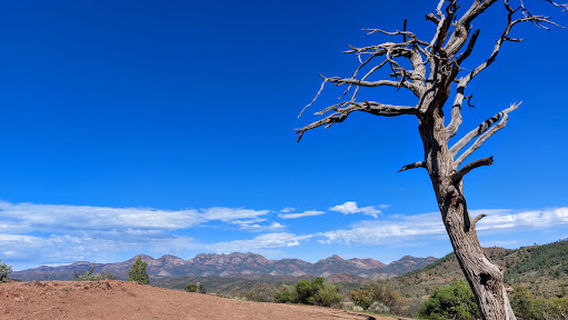 Ikara-Flinders Ranges National Park