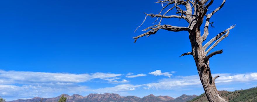Ikara-Flinders Ranges National Park