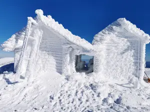 Pancic's peak