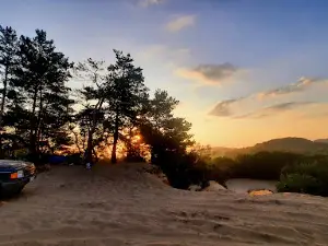 Siedlecka Desert