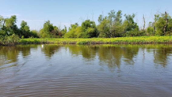 Rend Lake State Waterfowl Management Area