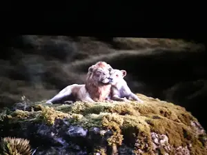 Multiplex Maestoso