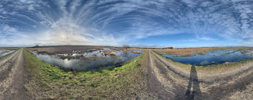 Wandelroute Engbertsdijksvenen Heideroute (4.6 km)