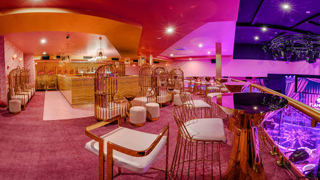 Pink Flamingo Spiegelclub