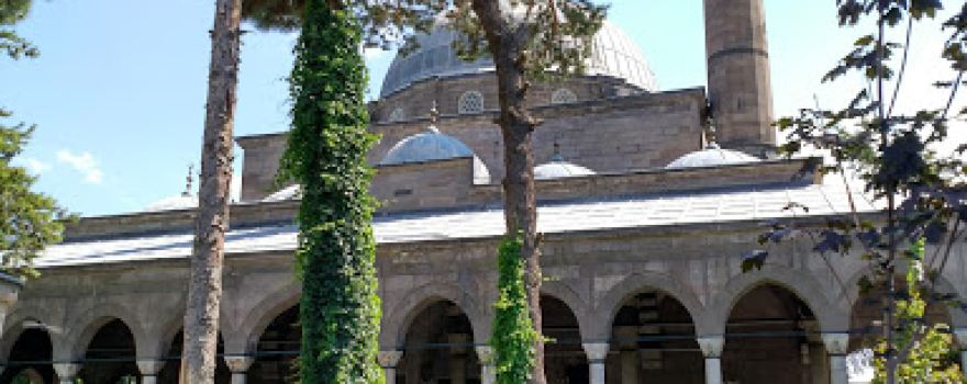Kuba Cami