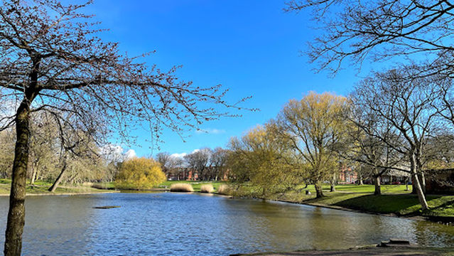 Greenbank Park Play Area
