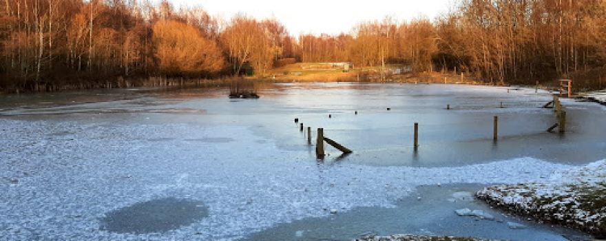 Colliers Wood Nature Reserve