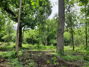 Dnyanganga Wildlife Sanctuary, Buldhana