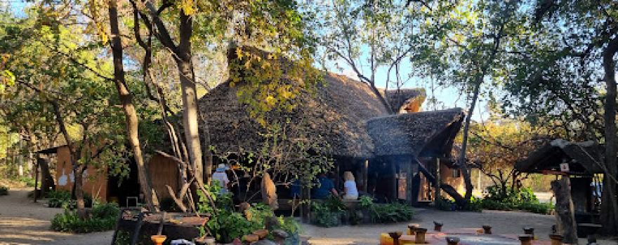 Ngepi Camp