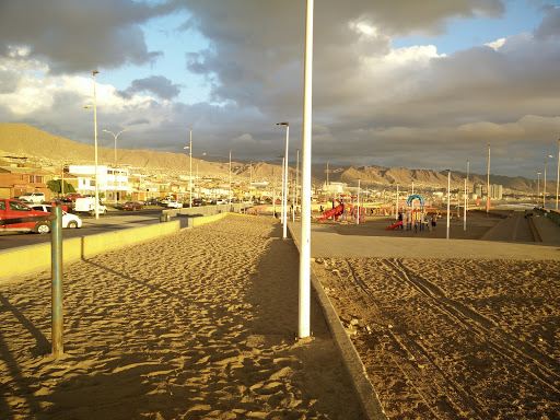 Parque Los Pinares