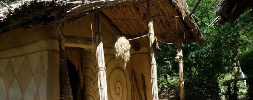 Cetatea Geto-dacică