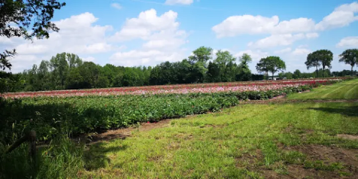 Museum de Heksehoeve