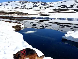 Langvatnet