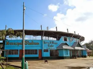 Harry And Maggie Taylor Municipal Stadium
