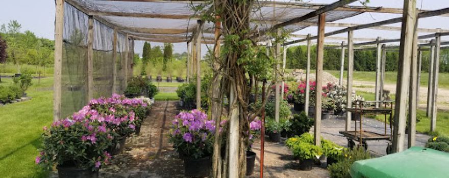 Brookside Nursery LLC
