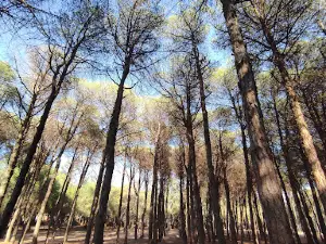 Bouchaoui Park