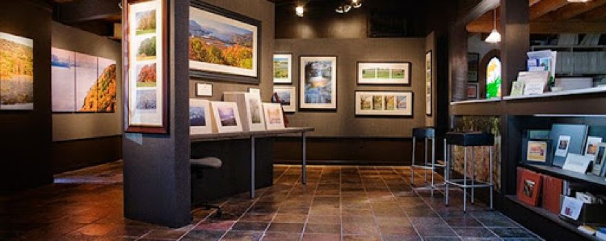 Nick Zungoli Exposures Gallery