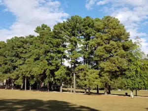 Grimes Park