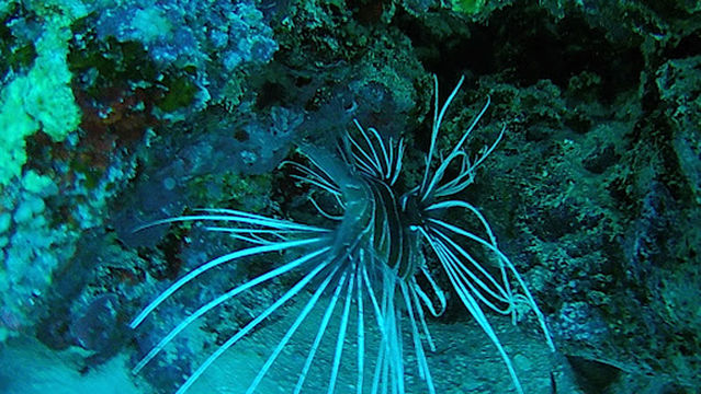 Fun Fly Diving Center Egypt