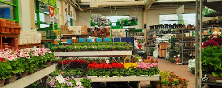 Garden Center Ostaszewo