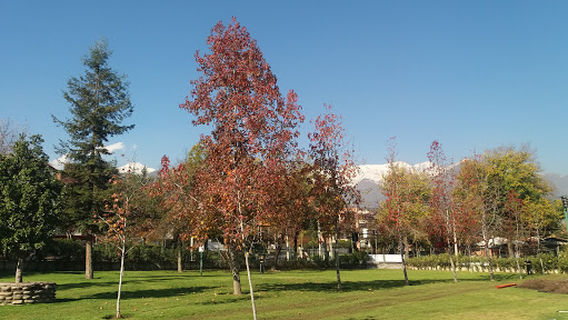 Las Condes