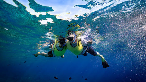 Trilogy Excursions