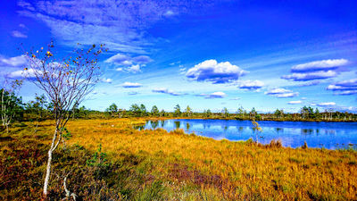 Koigi bog and hiking path