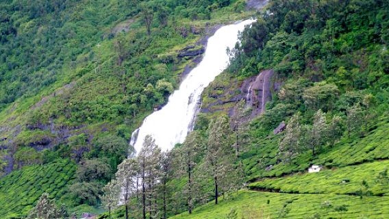 Amazing Munnar Tourism