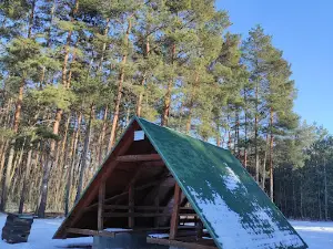 Rúzsafa Rózsa Sándor fája, betyárok búvóhelye