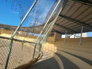 Estadio de Beisbol Pucho Marrero