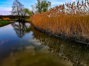 Mickys Parkidylle im Kleinen Spreewald Wahrenbrück
