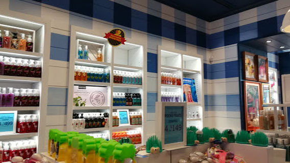 Fuente De Las Tortugas