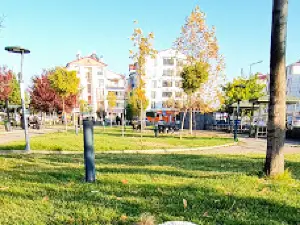 Park