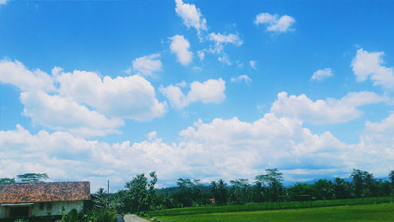 Purwanegara
