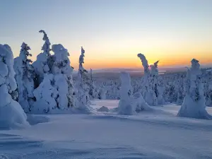 Akkanålke