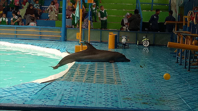 Bingkil besi dan pertukangan