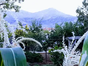 Atatürk Parkı