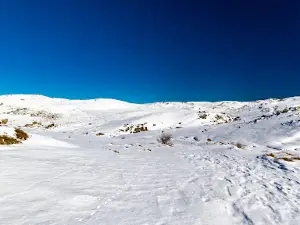 Plateau du Cuscionu
