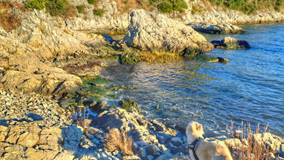 Duino